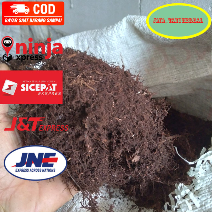 proko jual murah moss hitam akar kadaka