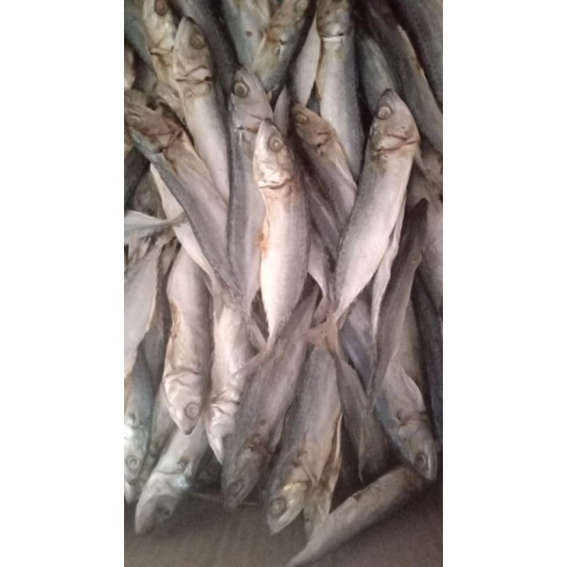 

ikan asin benyar