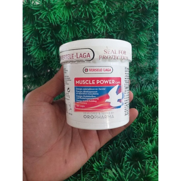 MUSCLE POWER 10 BUTIR SUPLEMENT MERPATI