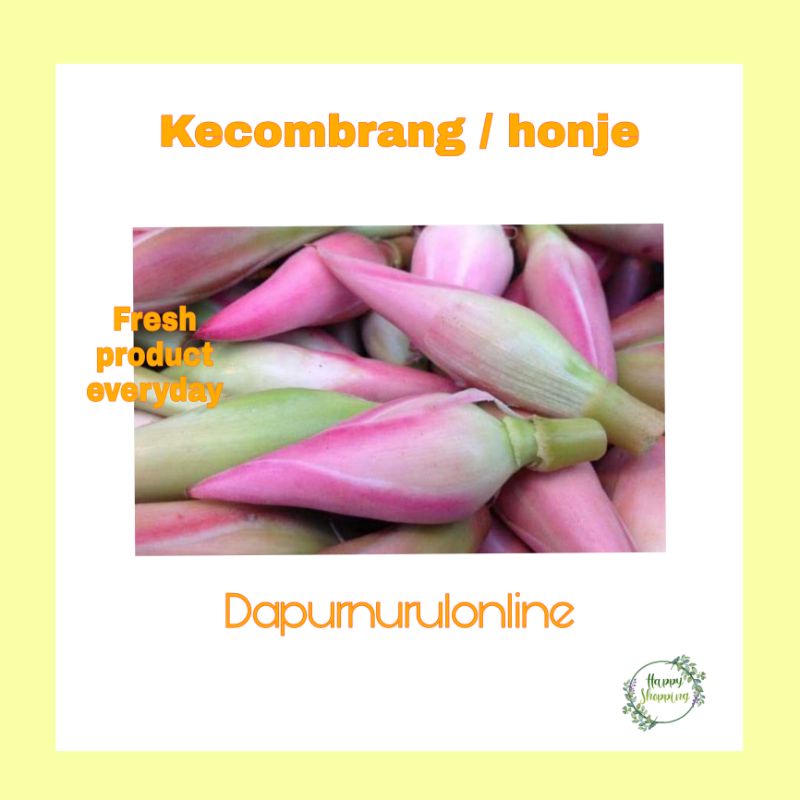 

Kecombrang/Honje segar 250gr-1kg