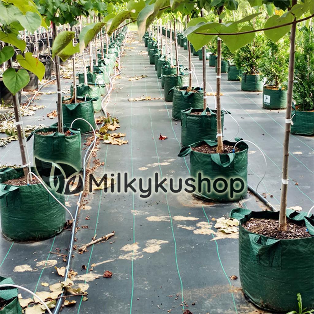 PLANTER BAG EASY GROW STANDAR 45 LITER - HIJAU