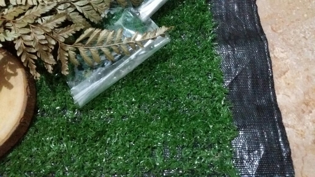 Biji Durenan Bahan Mahar Dan Craft Rustic