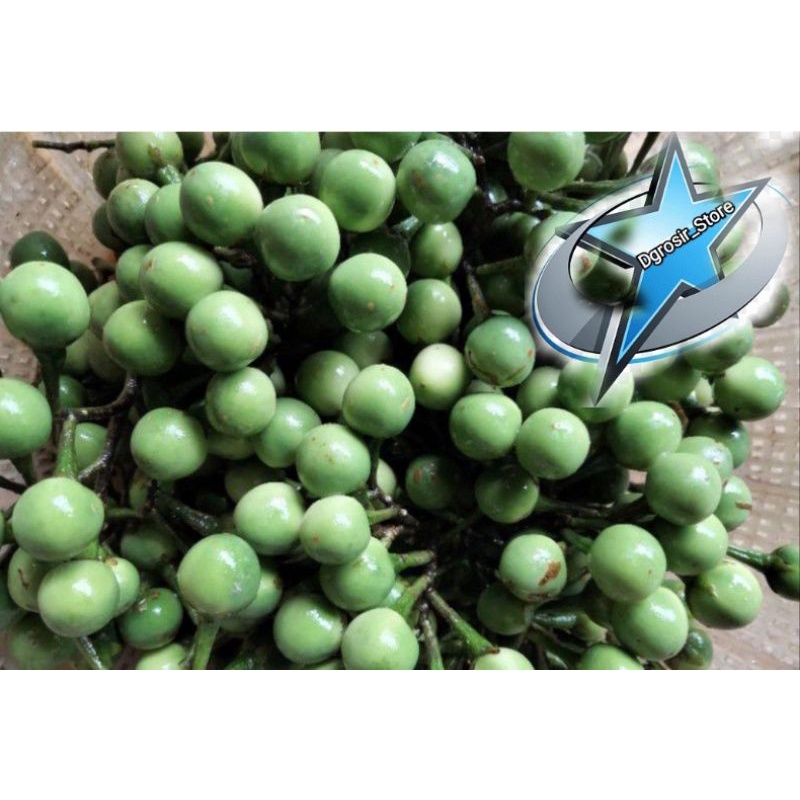 

Ready..BUAH TEKOKAK/POKAK/RIMBANG 500gr