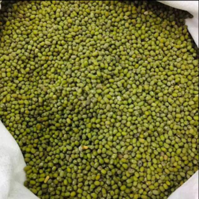 

Kacang hijau fresh dr petani