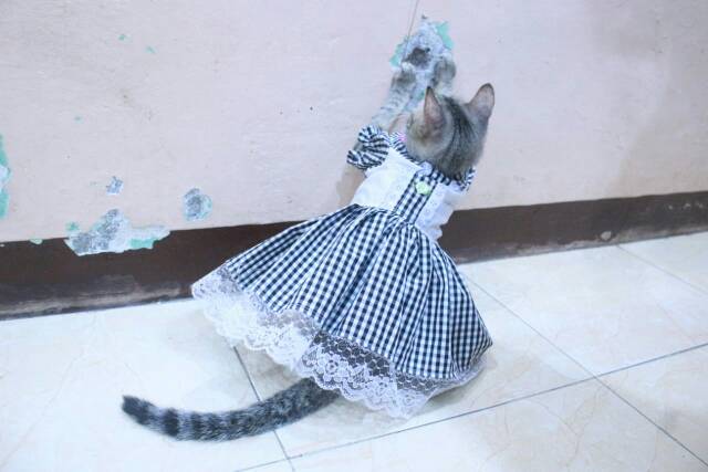 Dress kotak-kotak hitam putih lucu untuk kucing dan anjing / baju kucing murah size S-XL