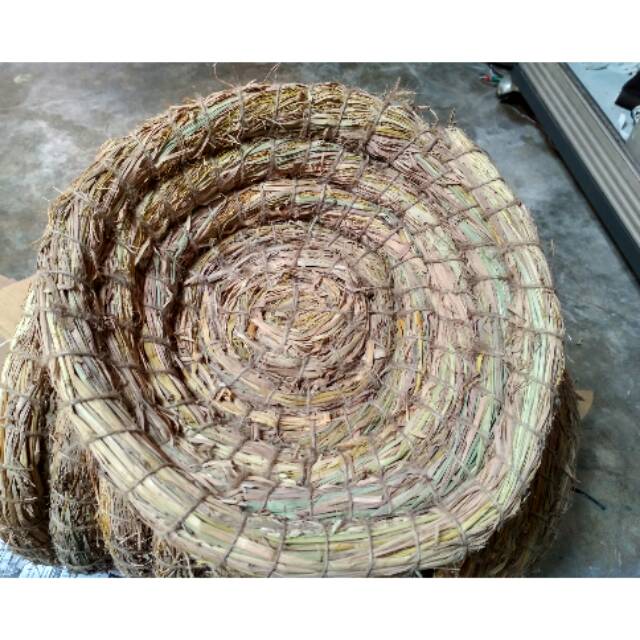 Sarang Ayam Bertelur Sarang Mengeram