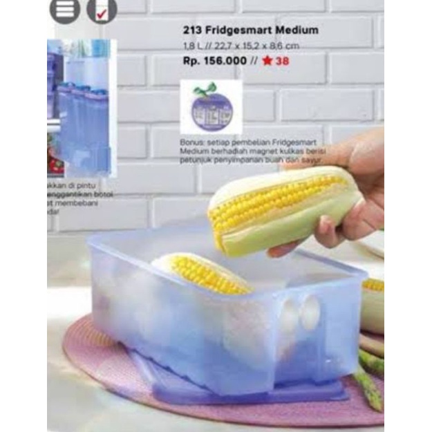 Fridgesmart Medium (1)