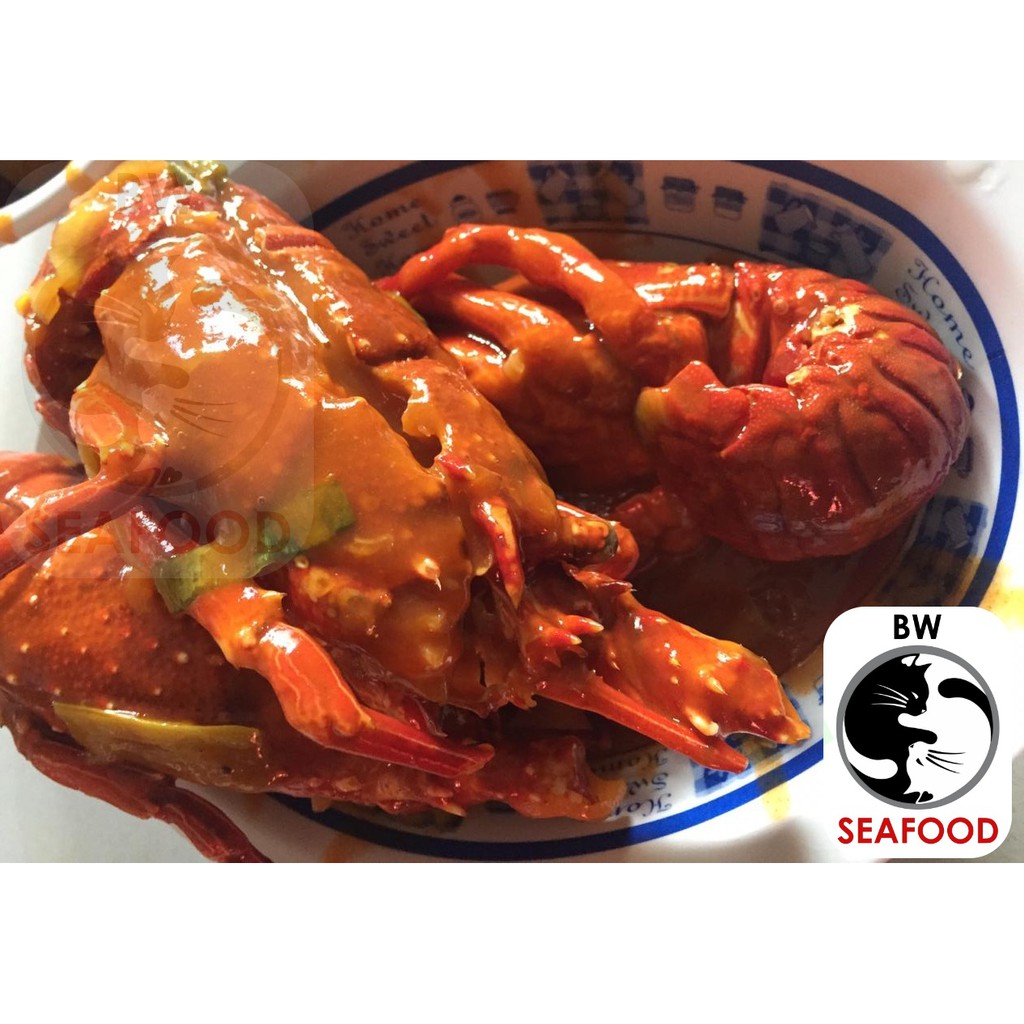 

MASAKAN LOBSTER SAUS PADANG 1 KILO