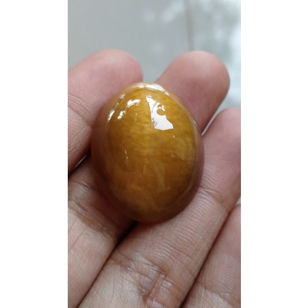 PANDAN NANAS SISIK BETIK