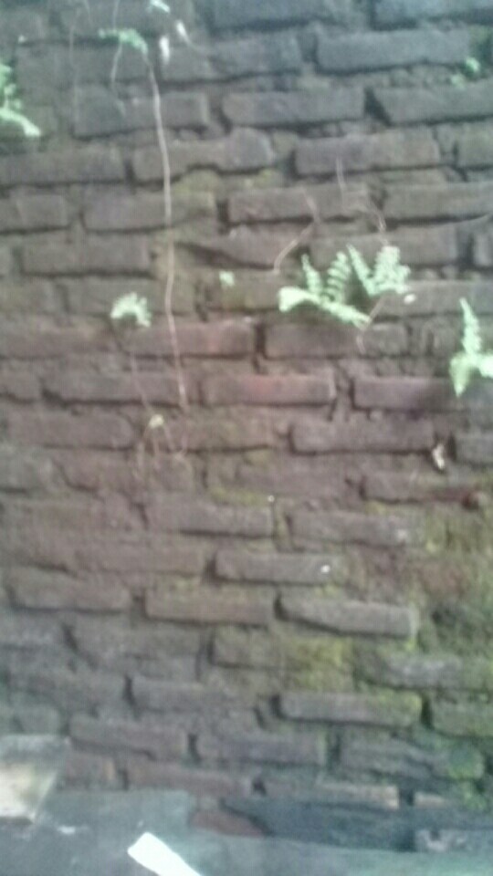 Terjun Payung Parasut Jadul Dengan Pemberat Super Hero Keren