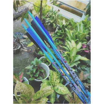 arrow carbon warrior