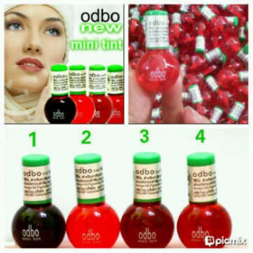 ODBO LIPTINT / LIP TINT OBDO 10 PCS