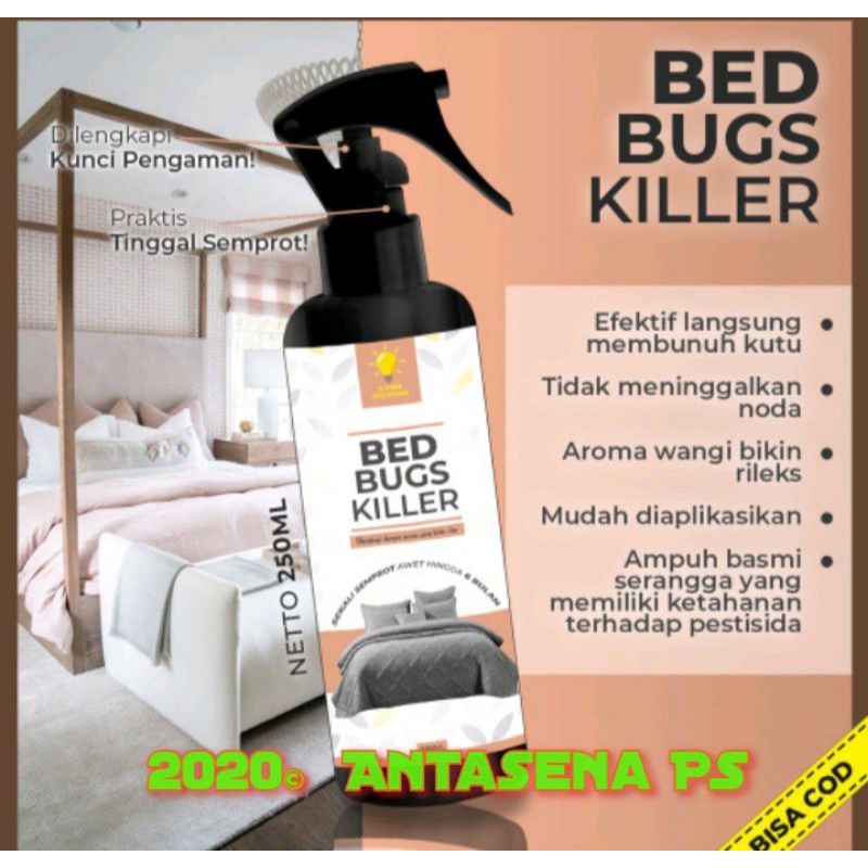 Jual Obat Anti Kutu Kasur Bed Bugs Killer Pembasmi Tungau Kutu Busuk