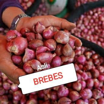 

Brambang Bawang Merah Besar 500gram BERKUALITAS