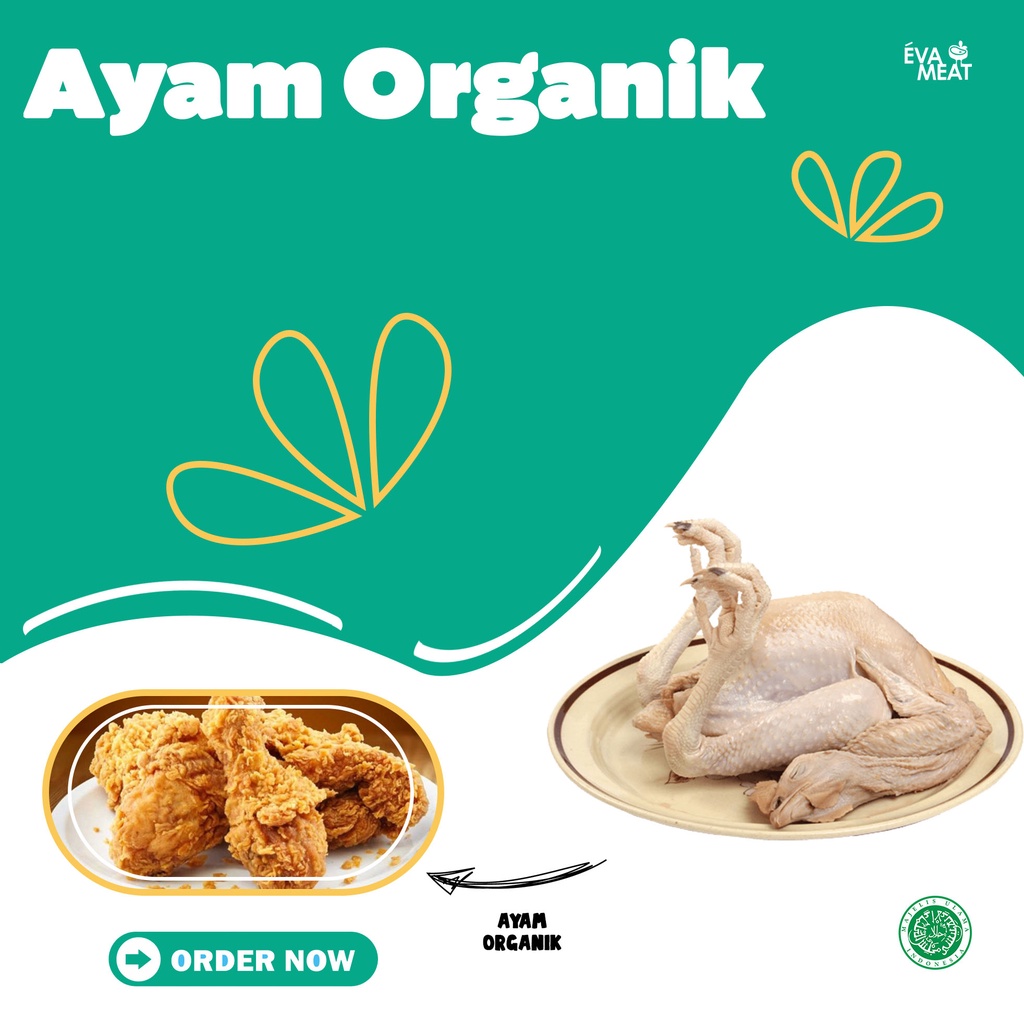 

Ayam Organik / Ayam Dara / Ayama dara Organik