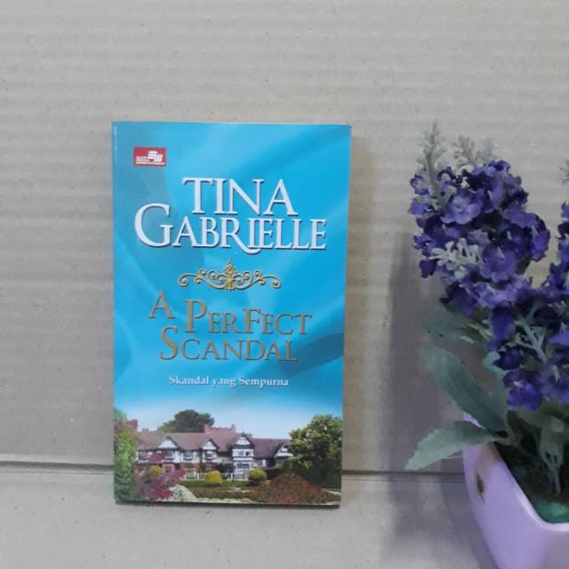 a perfect scandal by tina gabrielle