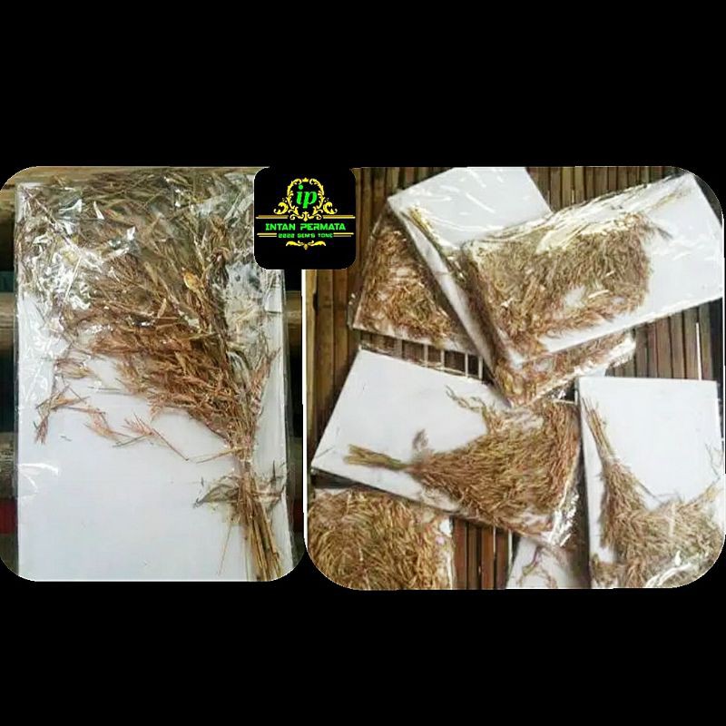 tangkai kembang sereh asli100%