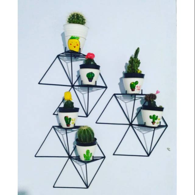  Rak  tempel bunga  kaktus minimalis murah Shopee Indonesia