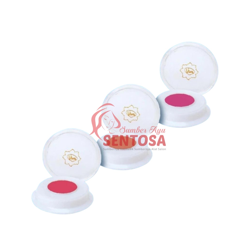 VIVA FIN TOUCH BLUSH ON 2 GR