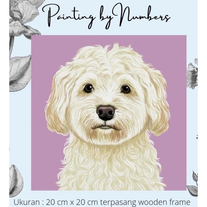 

Diy Painting By Number 20X20Cm Kerajinan Tangan - Maltese Dog