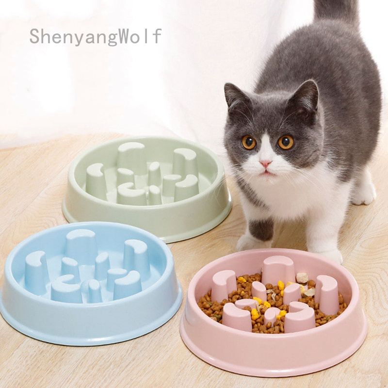 cat food bowl for fast eaters