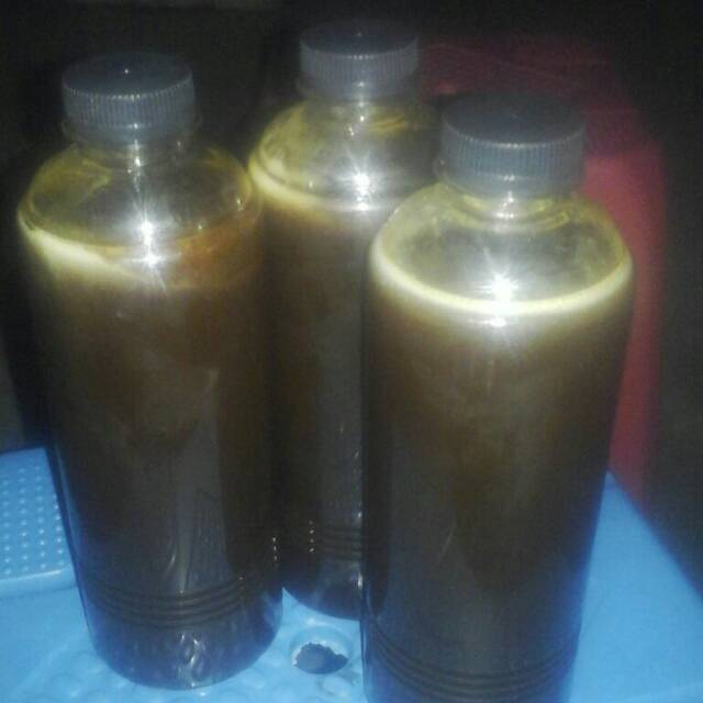 

Madu Trigona Lombok timur