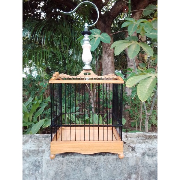 kandang burung pleci