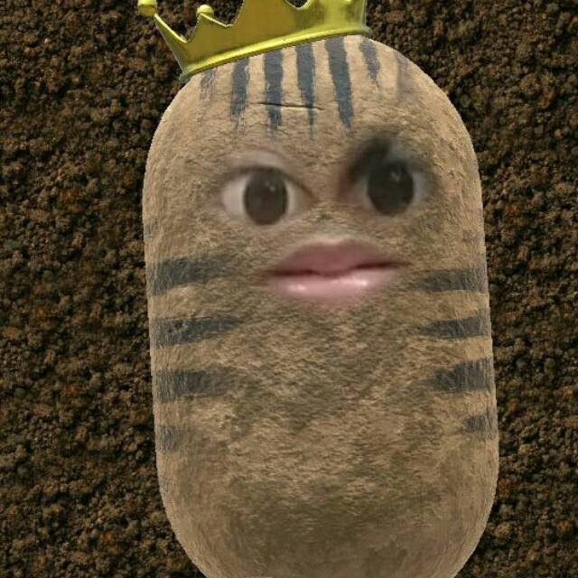 rizkyyipra