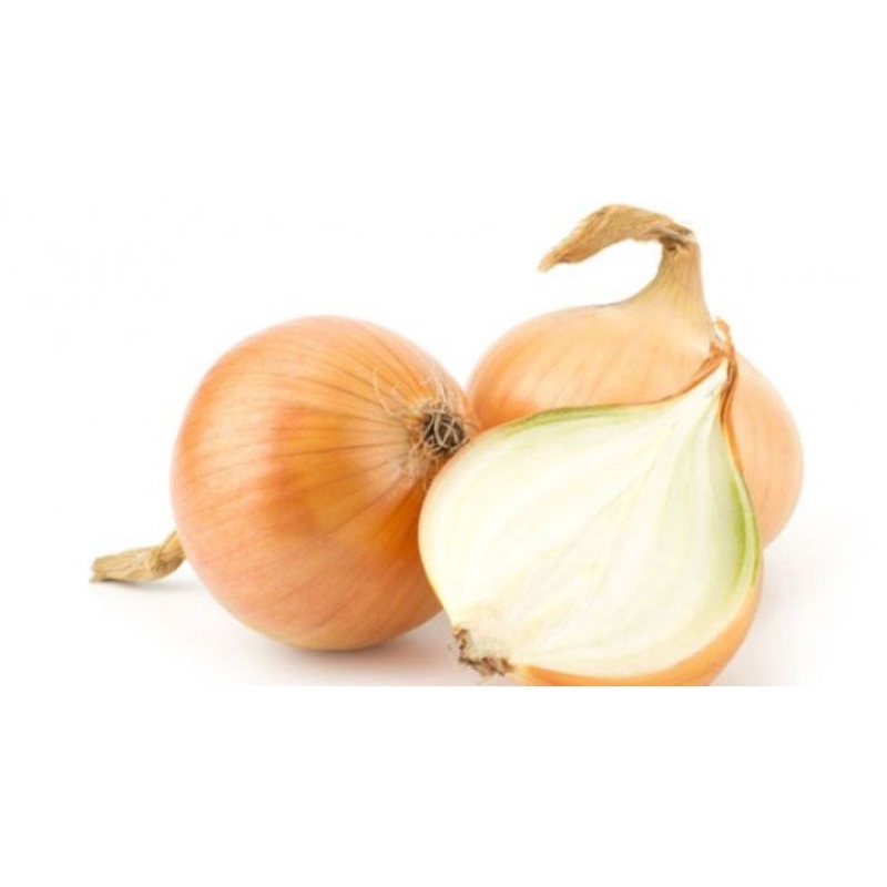 

bawang bombay 500 gr