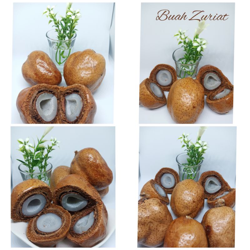 

Buah Zuriat 1 Kg Utuh Zuriat
