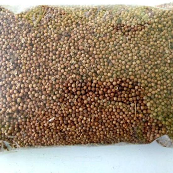 

✅Berani Coba Ketumbar 500gr / Biji Ketumbar Alami Natural Tanpa Pemutih | NEW | REBORN | Rilis | New event