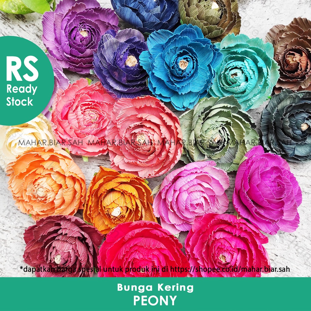 RS ± 8 cm Bunga Klobot PEONY / Kering / Dekorasi / Mahar / Seserahan / Rustic / Bunga Jagung