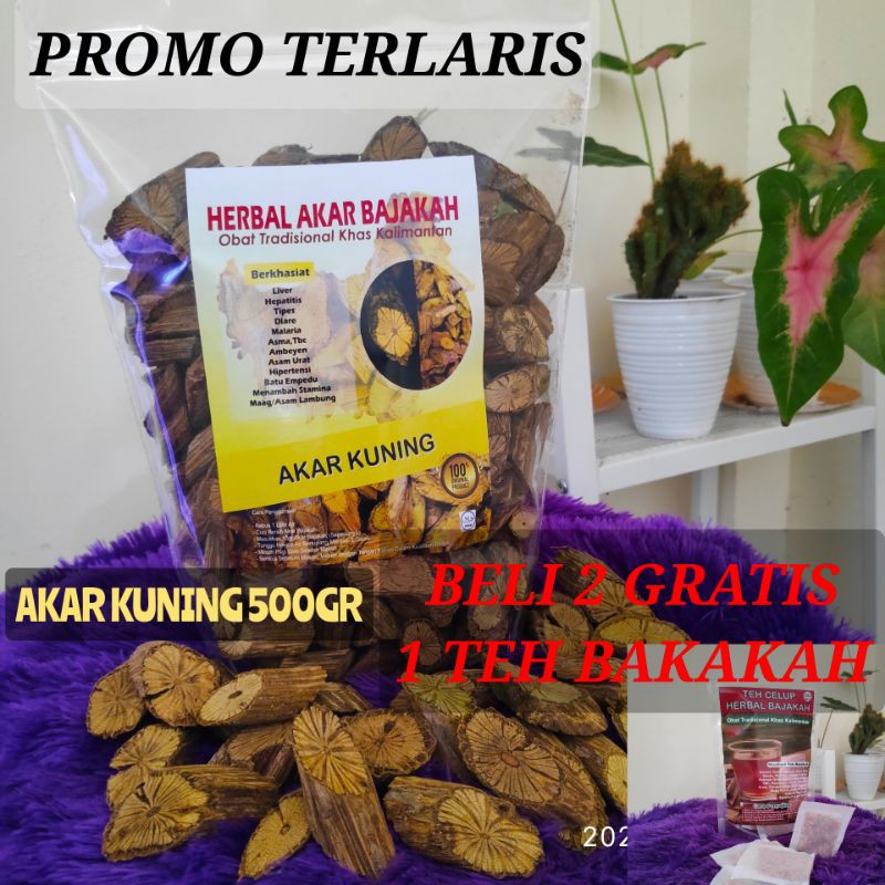 

AKAR BAJAKAH KUNING 500GR ASLI KALIMANTAN 100%ORIGINAL