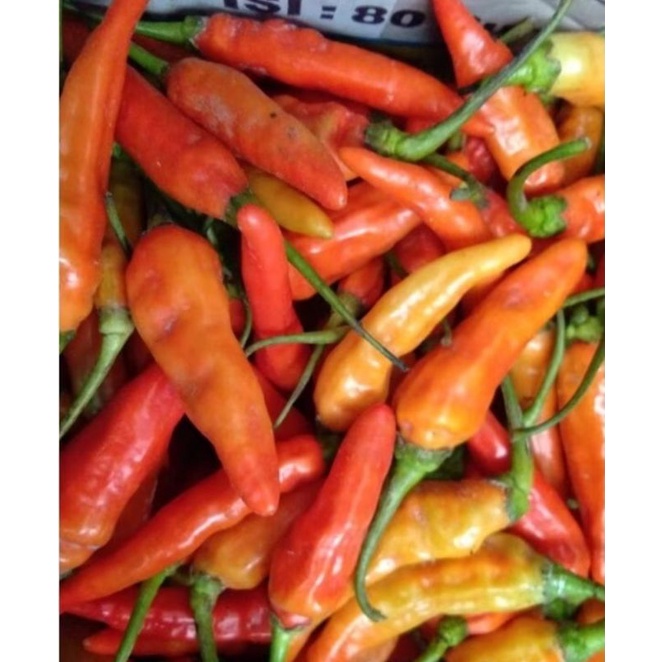 

cabe rawit pedas 500 gr