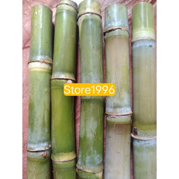 paket hemat 500 gram Tebu ijo segar