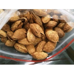 

500gram Almond Roasted ( Kacang Panggang ) USA California in Shell bakar