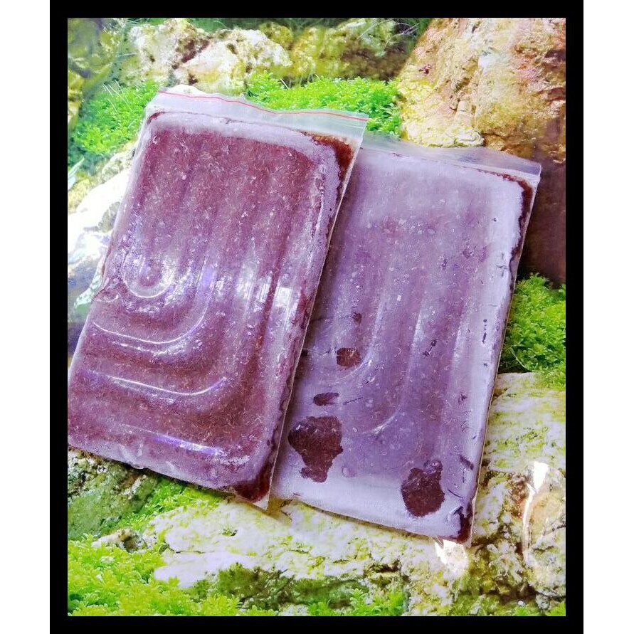 

CACING MURNI BEKU LEMPENGAN 1KG ISI 4