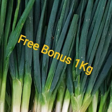 

Daun Bawang Besar 1kg + Gratis Bonus