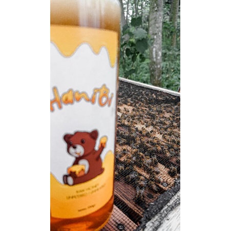 

Madu Ternak Murni Lumbang Probolinggo (kemasan 350gr & 650gr)