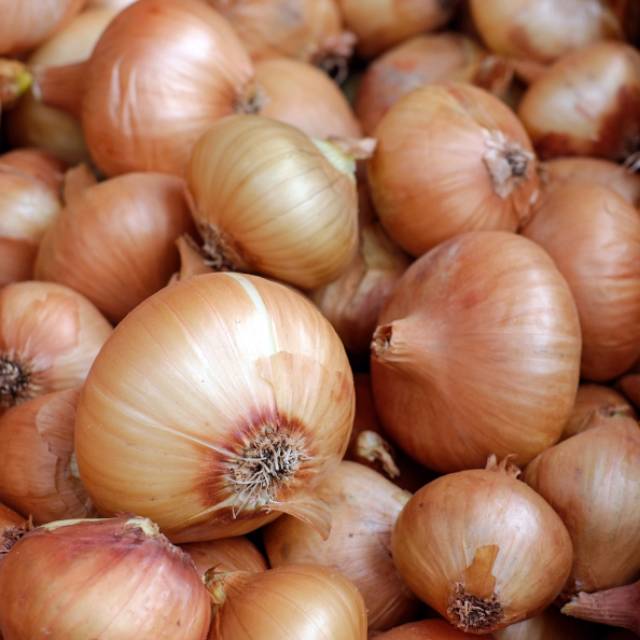 

Bawang Bombai