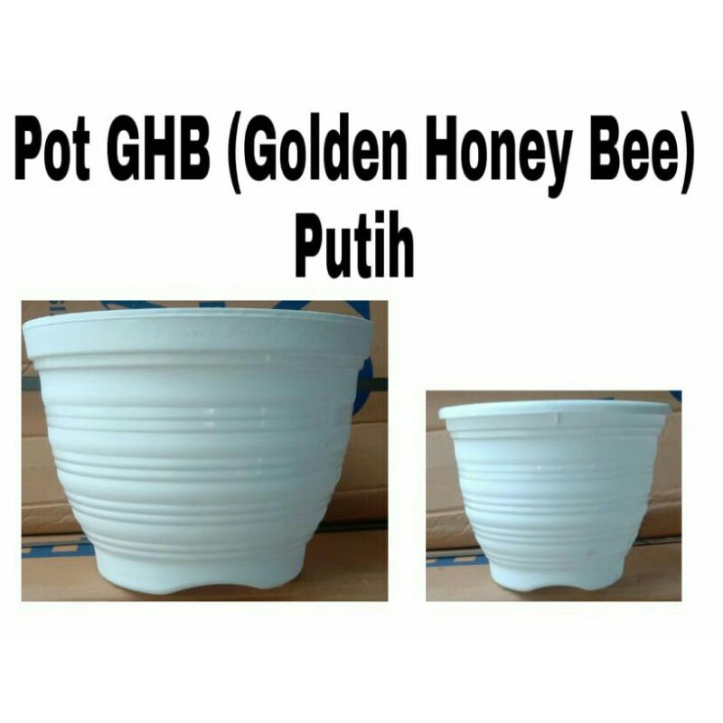 pot golden honey bee 25