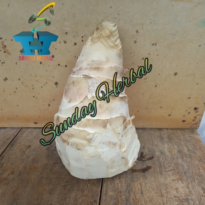 

REBUNG BAMBU SAYUR