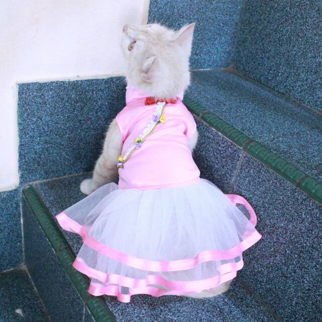 Dress shanghai chongsam satin baby pink imlek untuk kucing dan anjing size S-XL