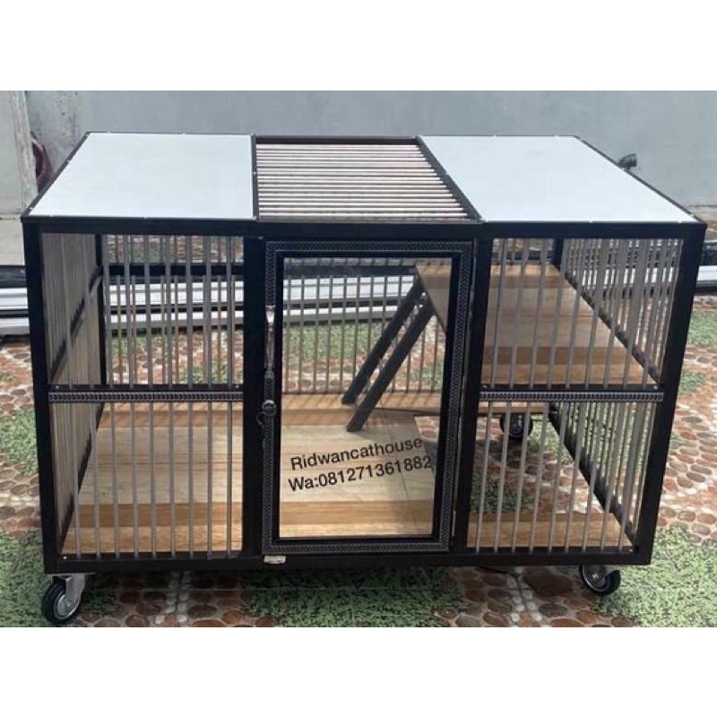 kandang kucing medan5
