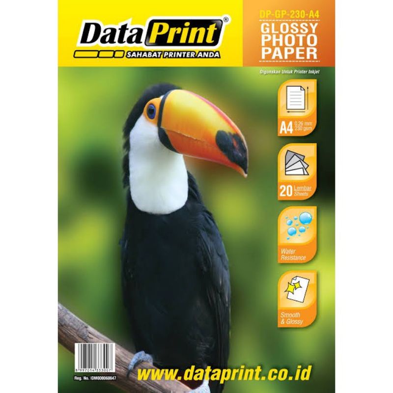 

KERTAS FOTO DATA PRINT GLOSSY A4 180 & 230 GSM 20 LEMBAR