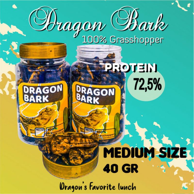 Pakan Makanan Reptil Dragon Bark Belalang Kering