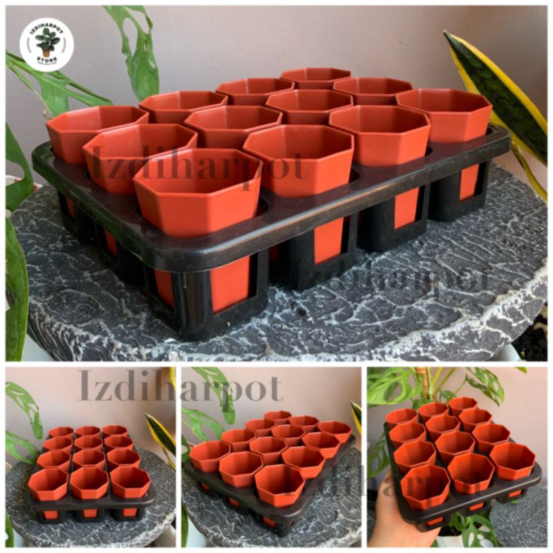 1 set Tray + POT BUNGA NKT PAGODA 5CM MERAH BATA | tray semai bibit