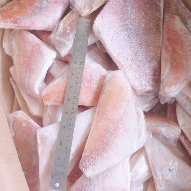 

FILLET KAKAP MERAH FROZEN
