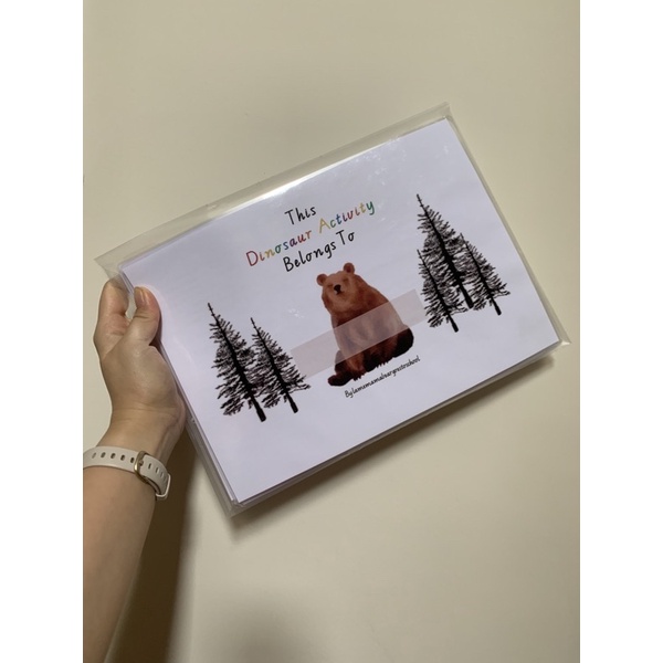 Dinosaur activity folder by lamemamabeargoestoschool