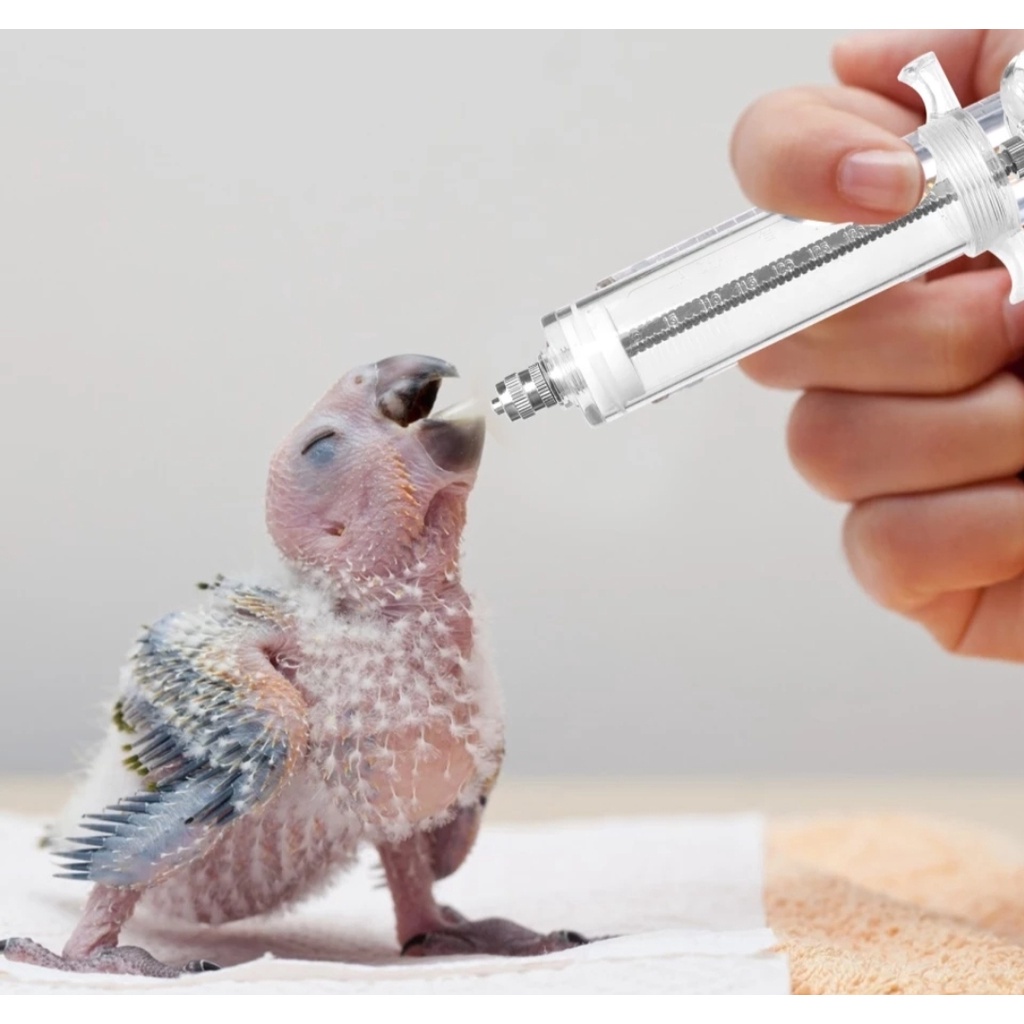 spet suntikan akrilik lolohan 30 ml - alat ternak hewan